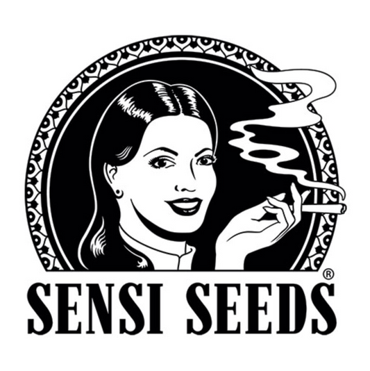 Graines "Sensi" - Auto Afghani 1 Seeds/Graines (10x)