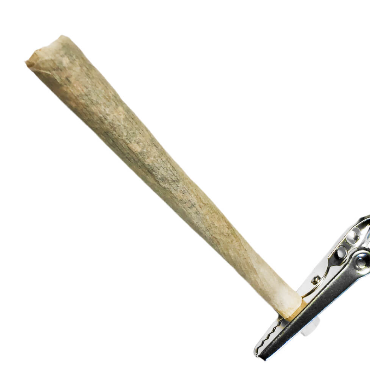 Champignon - Metal Joint Keeper