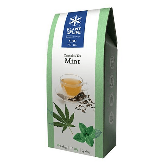 CBD Tea 8% CBG - Plant Of Life "Mint" (10x)