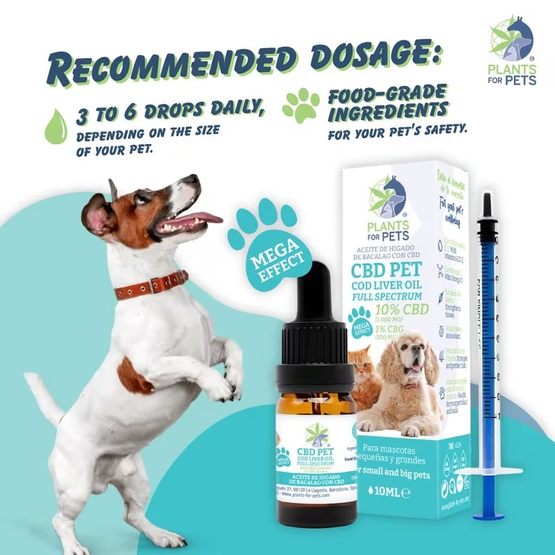 CBD Oil For Pets "Dogs & Cats" - 10% CBD & 1% CBG (10ml)